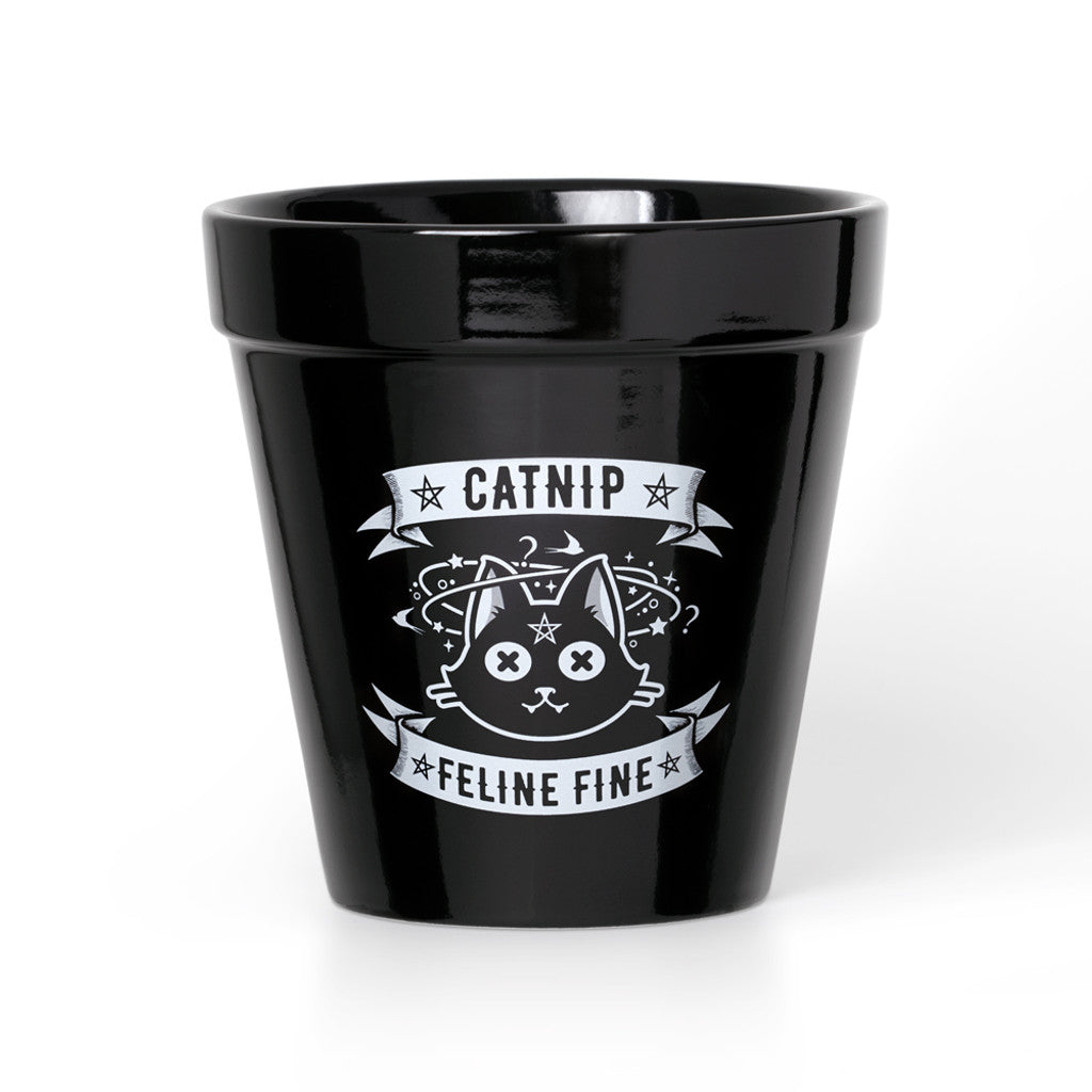 Catnip Plant Pot