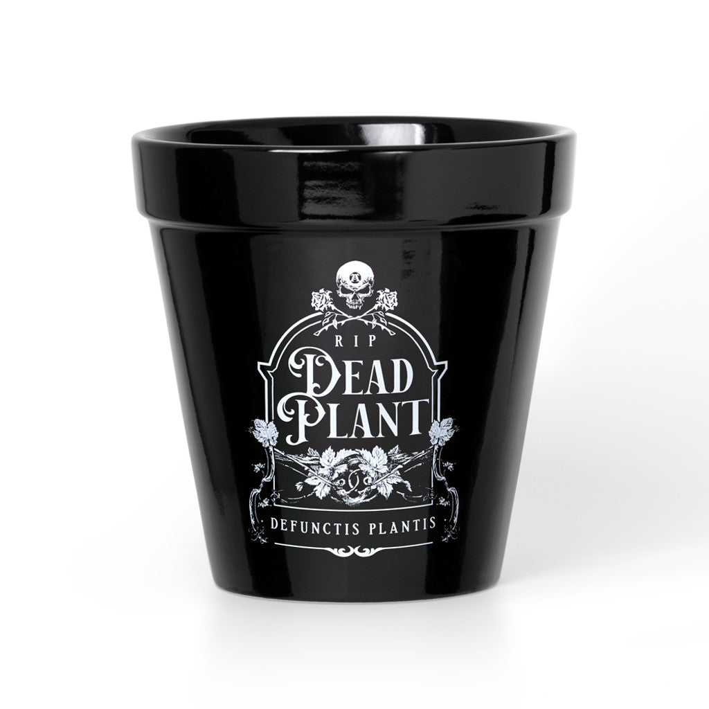 Dead Plant Plant Pot