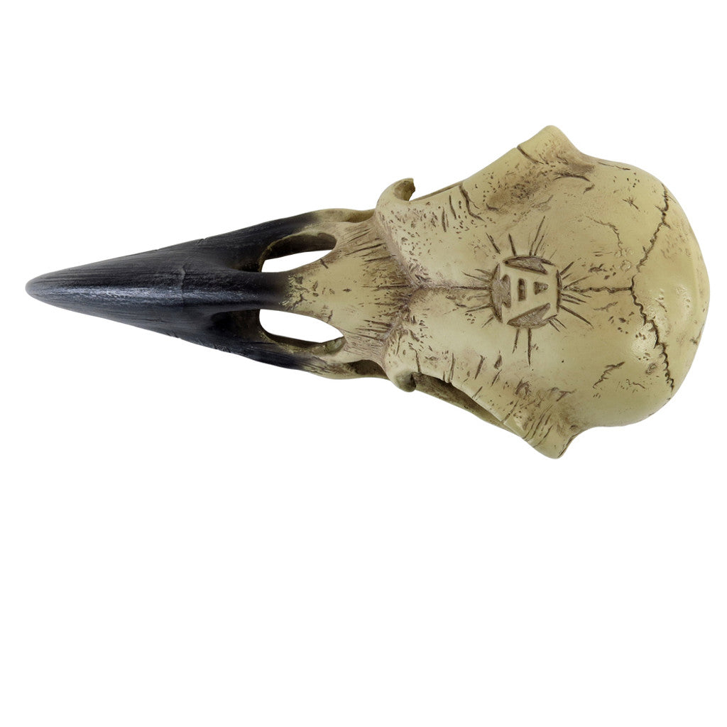 Corvus Alchemia Skull