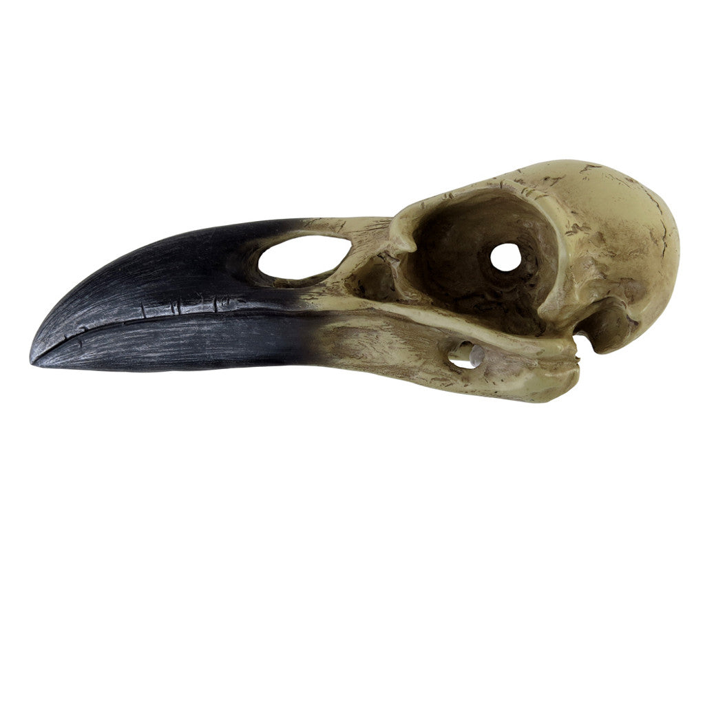 Corvus Alchemia Skull