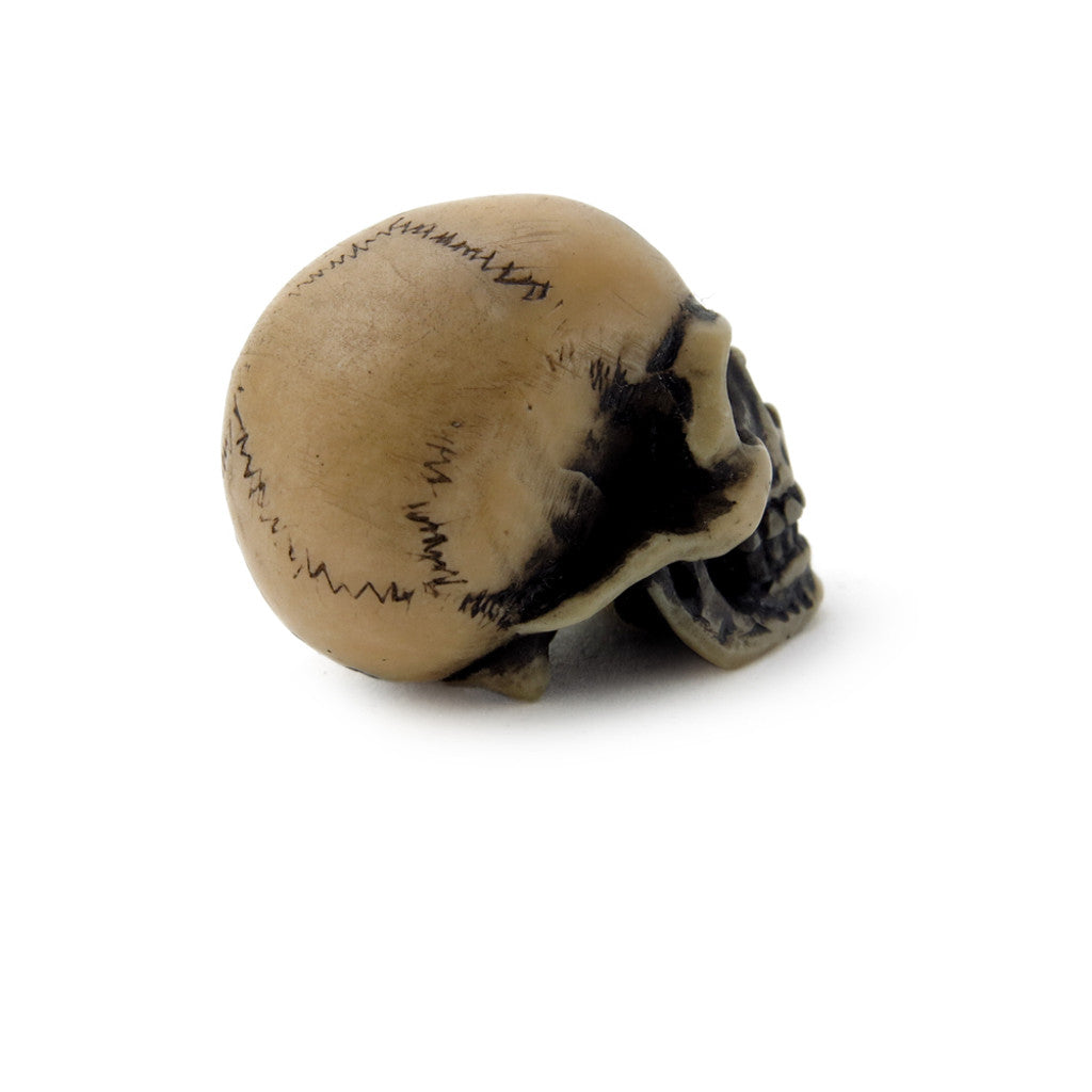 Lapillus Worry Skull