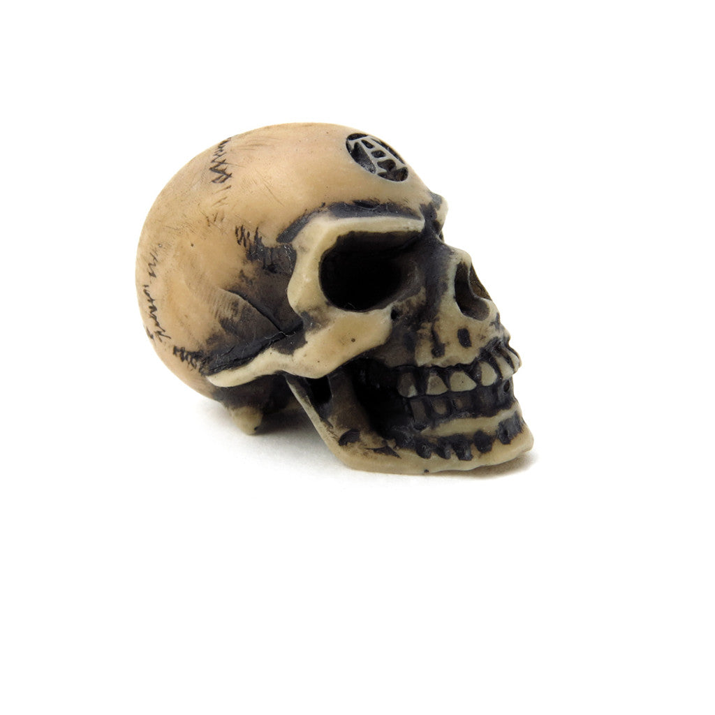 Lapillus Worry Skull