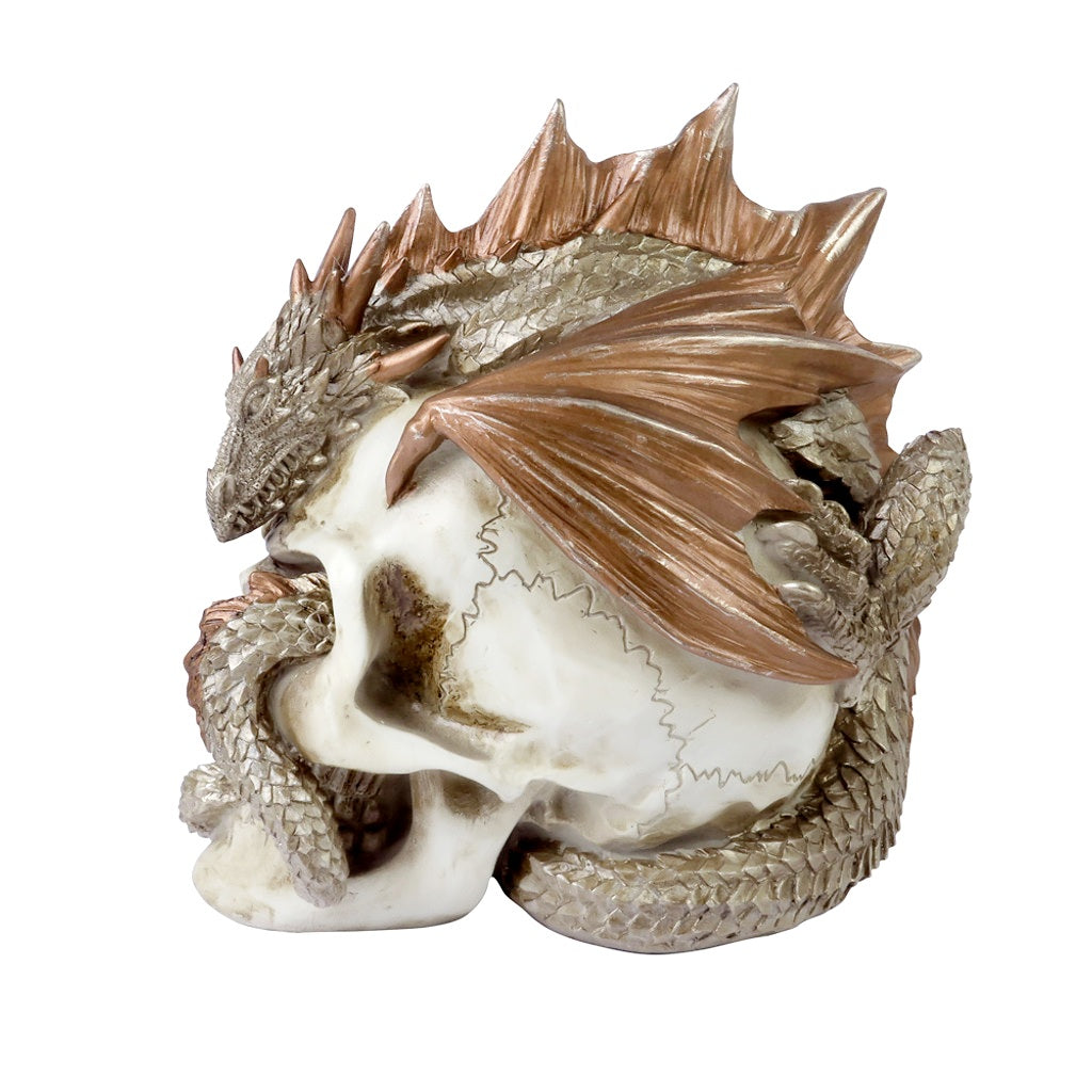 Dragon Keeper's Skull