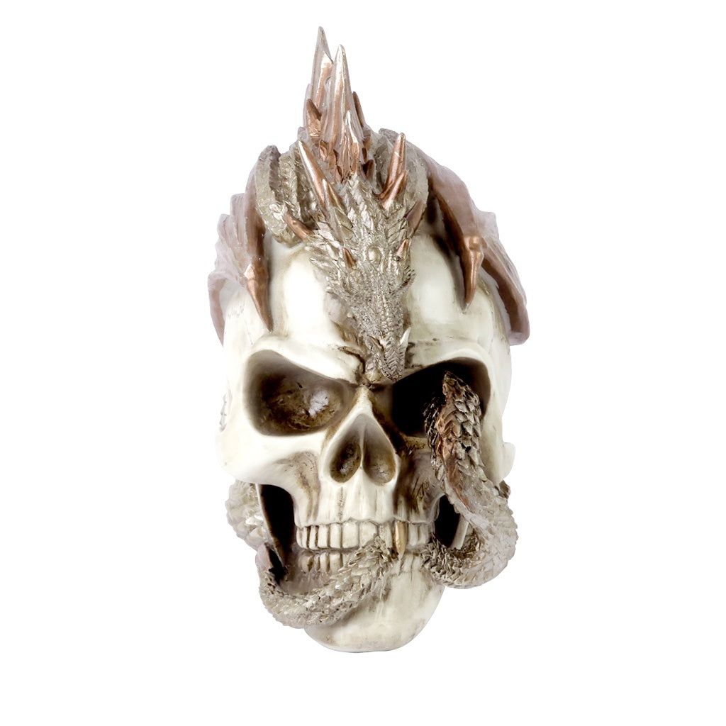 Dragon Keeper's Skull