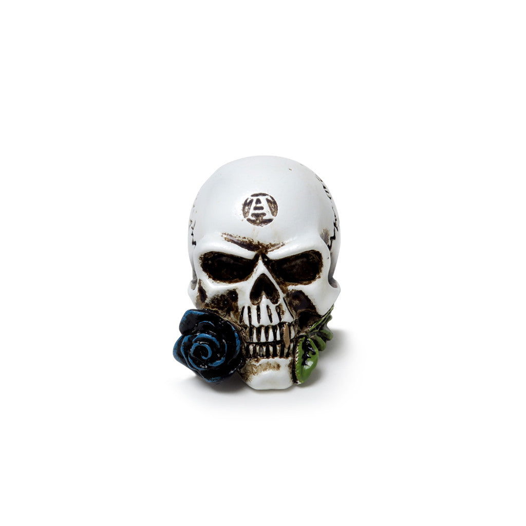 Alchemist Skull Miniature