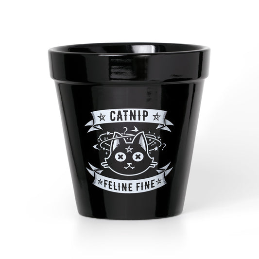 Catnip Plant Pot