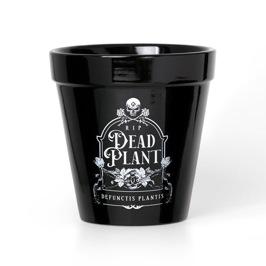 Dead Plant Plant Pot