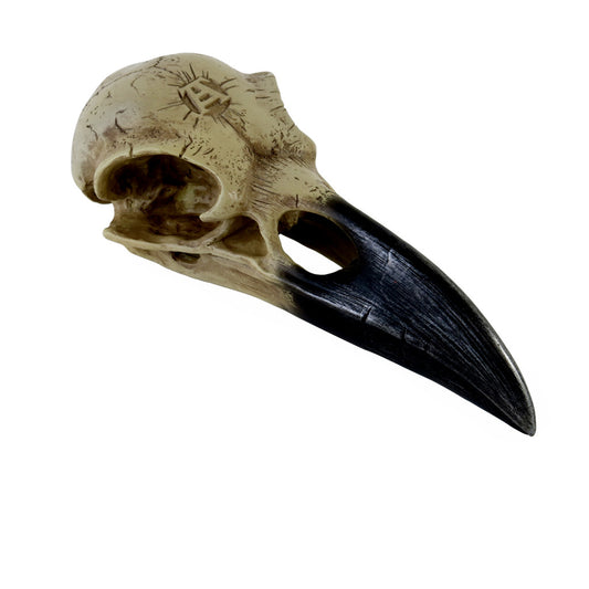 Corvus Alchemia Skull