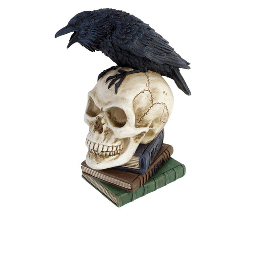 Poes Raven Skull