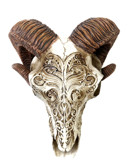 Scrimshaw Ram Skull