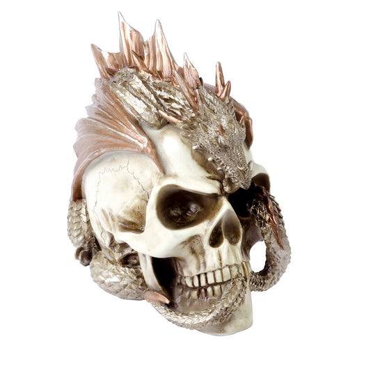 Dragon Keeper's Skull